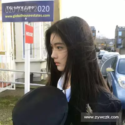 芮行京